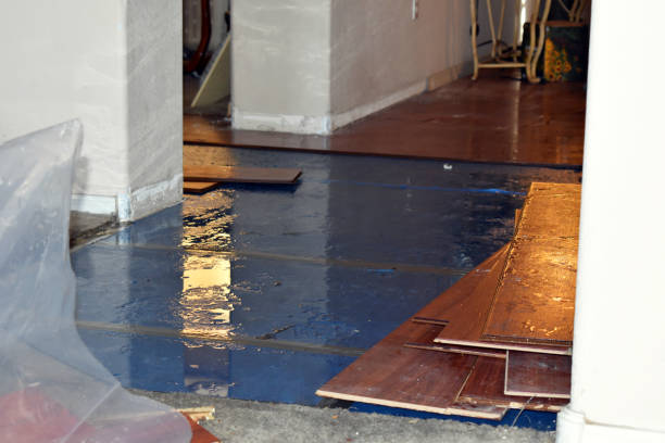 Professional Basement Water Removal technician working in Clayton, WI